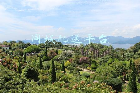 石家庄同城配送平台(全城配送 蔬粮到家——石家庄电商物流稳市场保民生)