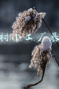 农村小工厂暴利玉米深加工怎么样(林甸县和平村：黏玉米小产业 精加工高效益)