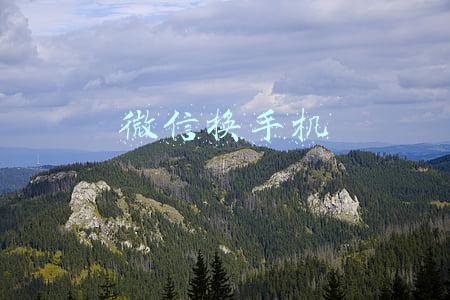 微信换手机