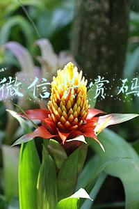 微信赞赏码 微信赞赏码