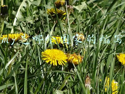 my是哪个国家的缩写形式(英语常见的英文缩写词，你了解多少？两大类的英文缩写词归纳)