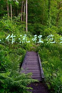 工作流程和工作指引(安康市印发《国有土地使用权出让收入和矿产资源专项收入征缴流程及有关业务事项工作指引（试行）》)