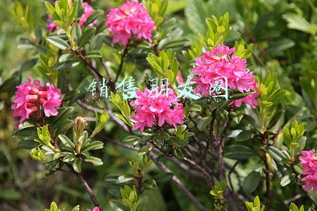 销售朋友圈 销售朋友圈