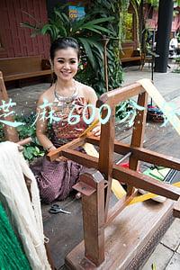芝麻600分贷