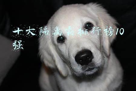十大隔离霜排行榜10强