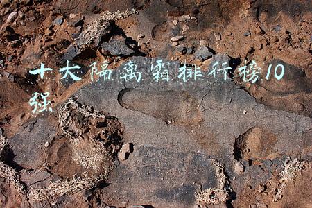 十大隔离霜排行榜10强