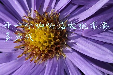 开一个咖啡店的预算 我想要开一家咖啡厅,如何做预算及计划?