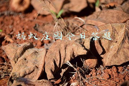 蚂蚁庄园今日答题
