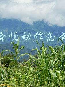 抖音慢动作怎么拍