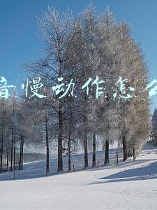 抖音慢动作怎么拍出来的(抖音拍摄手法越来越多，最火的模糊慢动作怎么拍摄？)