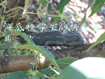 海底捞学生69折怎么用怎么给别人(海底捞取消大学生69折优惠？海底捞：暂不会调整)