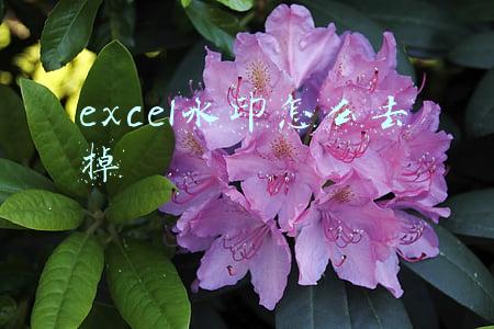 excel水印怎么去掉