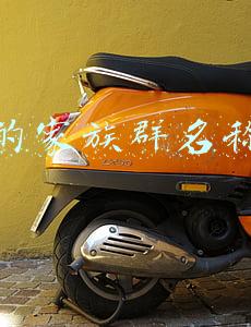 好听的家族群名称大全