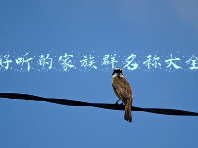 好听的家族群名称大全