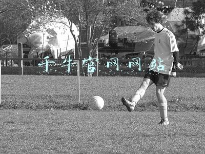 千牛官网网站 千牛官网网站