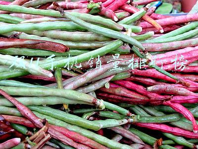 双11手机销量排行榜