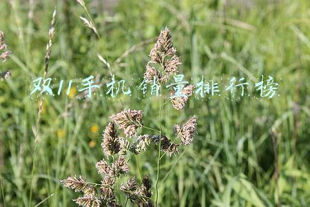 双11手机销量排行榜