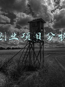 创业项目分析