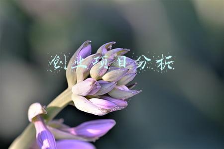 创业项目分析报告(创业项目从哪些方面分析？6个指标让你选对项目)