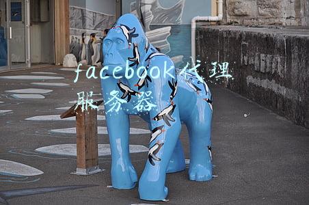 facebook代理服务器