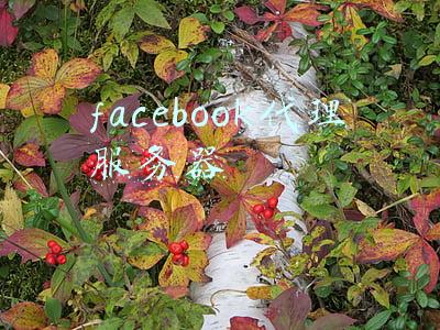 facebook代理服务器