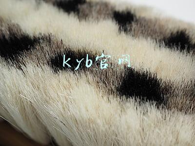kyb官网