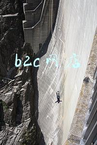 b2c网店