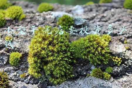 开一个小型的干洗店最少需要多少钱？利润高吗？：小型干洗店需要投资多少钱