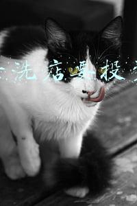 一般干洗店投资多少；开干洗店投资多少