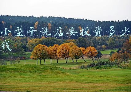 一般开干洗店要多少钱？：开个干洗店大概需要多少钱