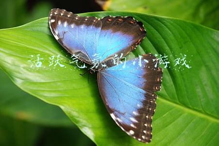 适合课堂上活跃气氛的小游戏(口才课堂互动小游戏，让口才课嗨起来)