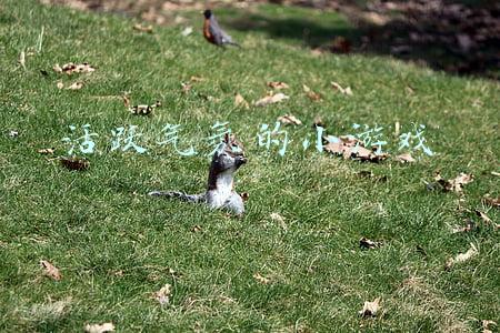 活跃气氛的小游戏