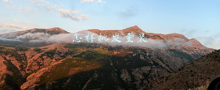 怎样批发童装 怎样批发童装