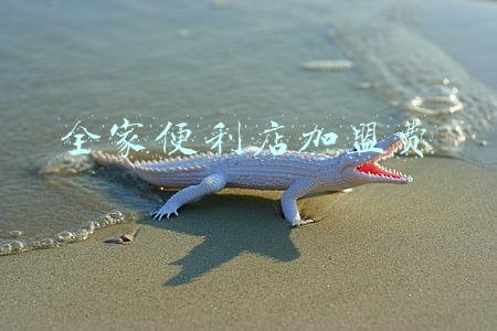 全家便利店加盟费