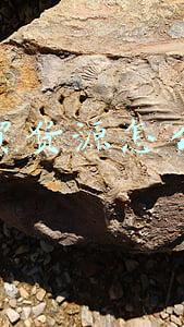 外贸货源怎么找