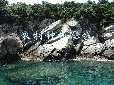 种植什么最赚钱农村(现在农村种植什么最赚钱？这几种作物经济效益高)