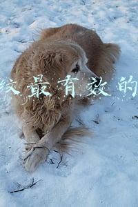 去颈纹最有效的方法