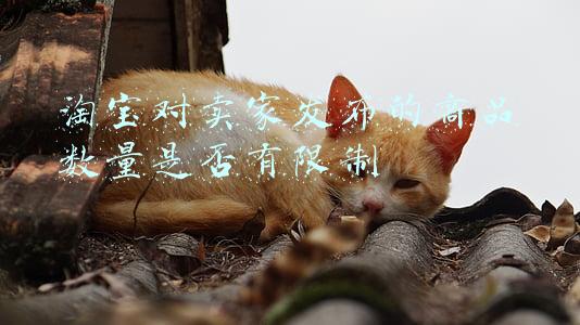 淘宝对卖家发布的商品数量是否有限制