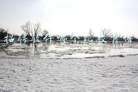 招聘软件哪个比较靠谱 招聘软件哪个比较靠谱