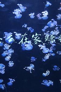 怎么在家赚钱