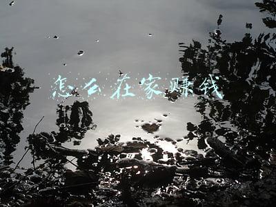 怎么在家赚钱