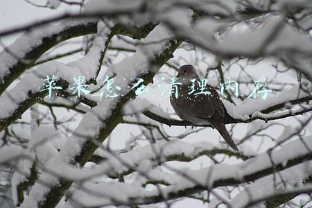 苹果怎么清理内存