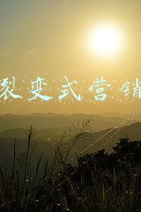 裂变式营销