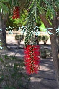 窗帘加盟店需要多少钱 开窗帘店需要投资多少钱