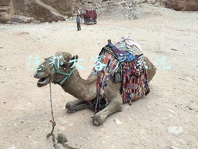 德邦大客户系统