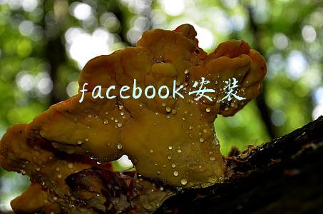 facebook安装