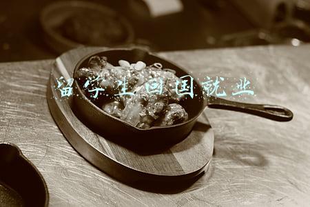 留学生回国就业