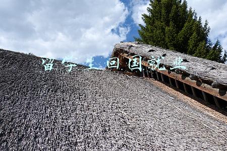 留学生回国就业