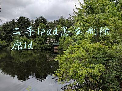二手ipad怎么删除原id