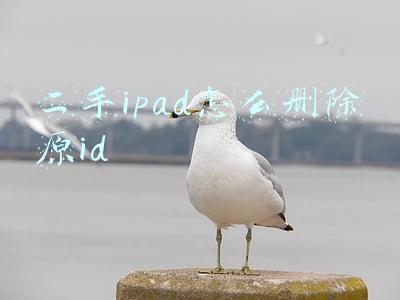 二手ipad怎么删除原id